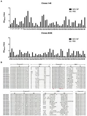 Screening and identification of nucleocapsid protein-nanobodies that inhibited Newcastle disease virus replication in DF-1 cells